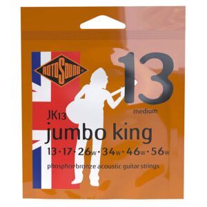 string set acoustic phosphor bronze wound 13-56, medium
