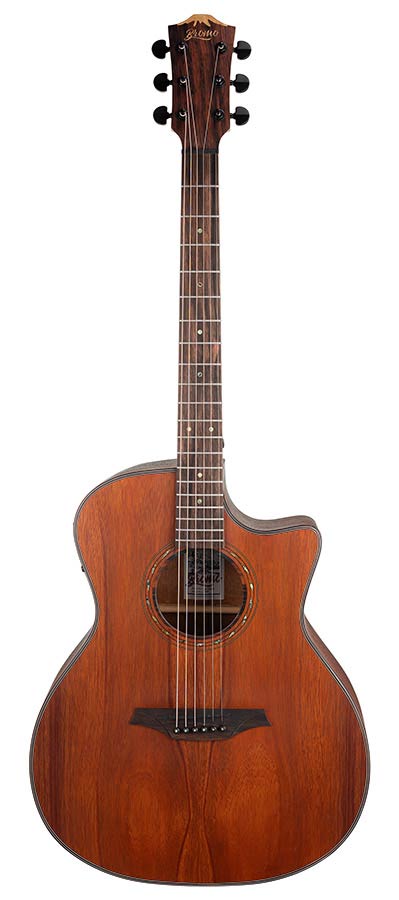 auditorium guitar with solid mahogany top, mahogany b&s, cutaway with EQ, amara ebony fb, natural - Afbeelding 3