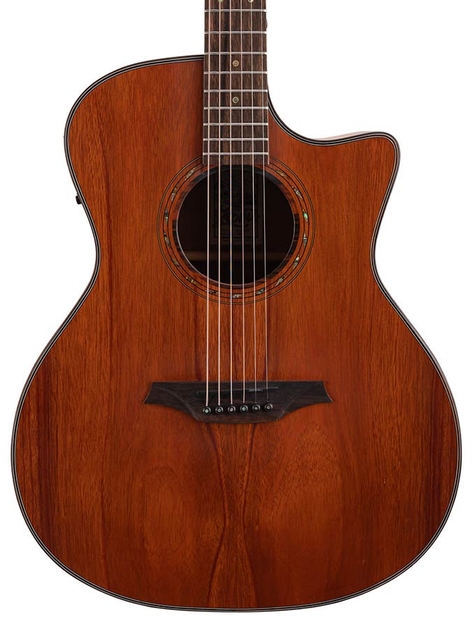 auditorium guitar with solid mahogany top, mahogany b&s, cutaway with EQ, amara ebony fb, natural - Afbeelding 6