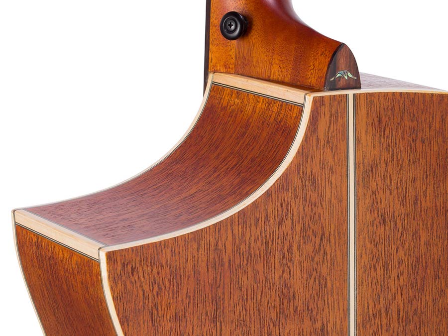 Hillside auditorium guitar with solid spruce top, mahogany b&s, cutaway, amara ebony fb, natural - Afbeelding 9