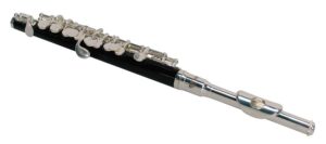 piccolo, Pisoni pads, silver plated, with soft case