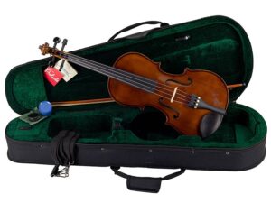viola outfit 14" (35.5cm) ready to play, all solid, ebony fittings, incl. bow and case