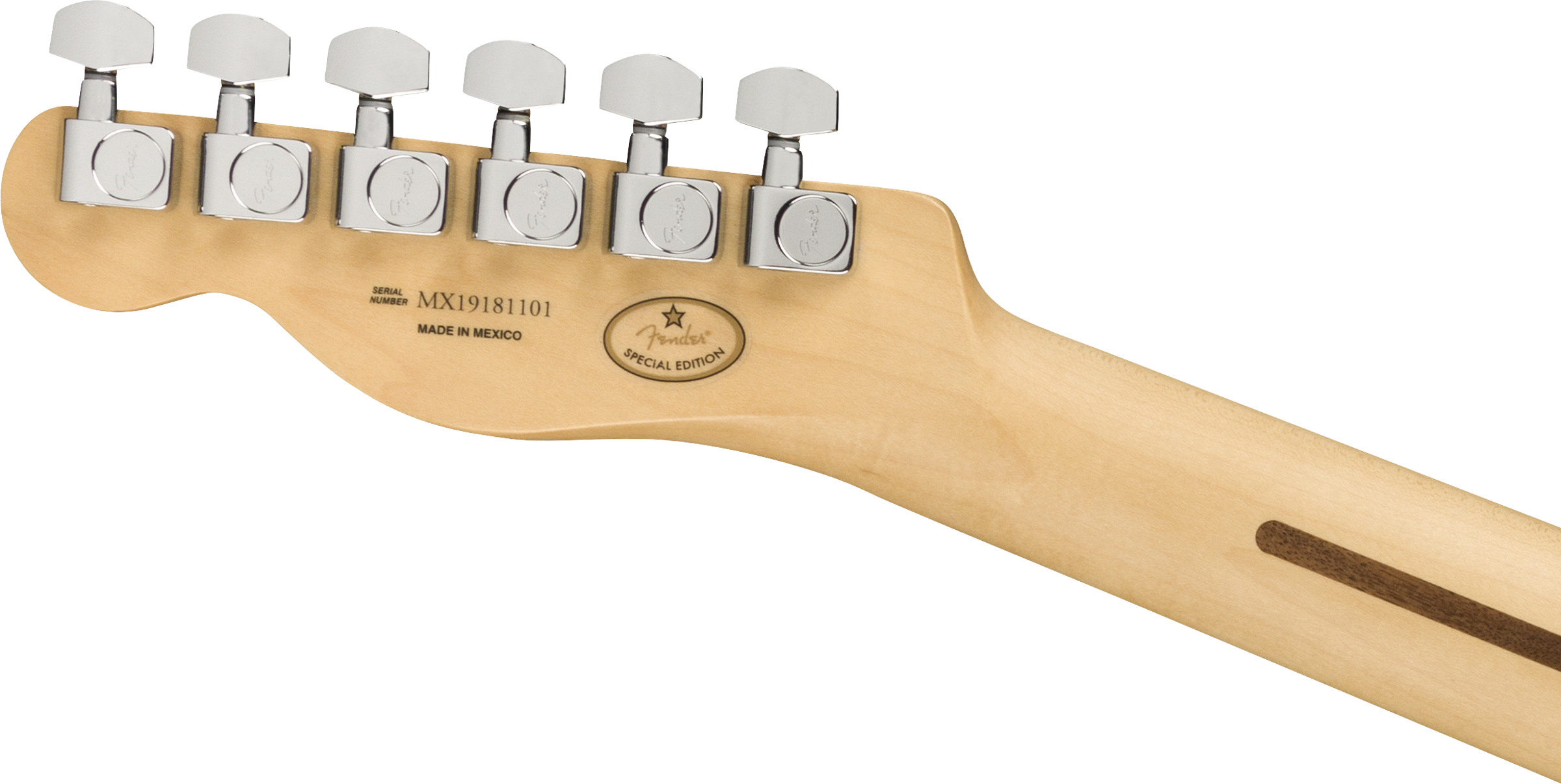Fender Limited Edition Player Telecaster® Plus Top, Maple Fingerboard, Blue Burst - Afbeelding 2